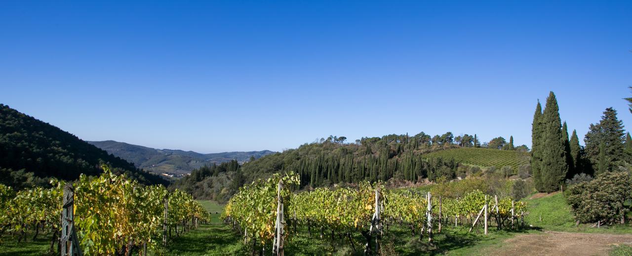 Appartement Casa Marina à Greve in Chianti Extérieur photo